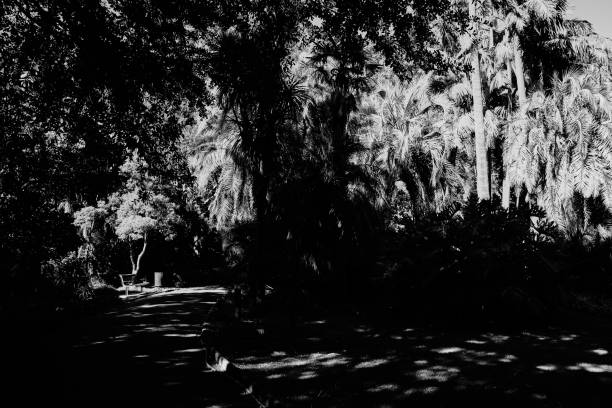 City parks in the Cape Town