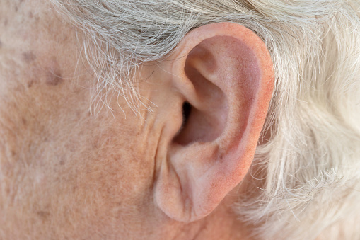 Ear of a senior adult with gray hair.