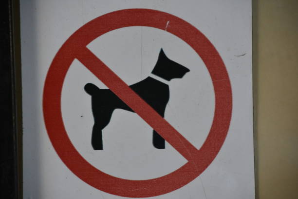 istock A no dogs allowed sign 1156235188
