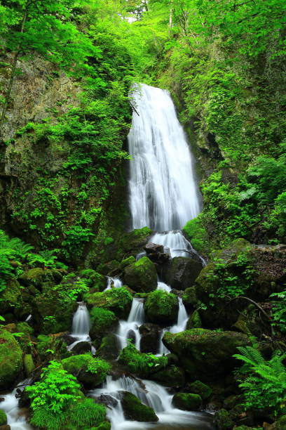 istock Iwate Prefecture Summer Waterfall 1156235300