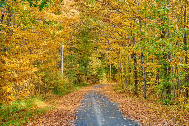istock Autumn road in Maine 1156236239