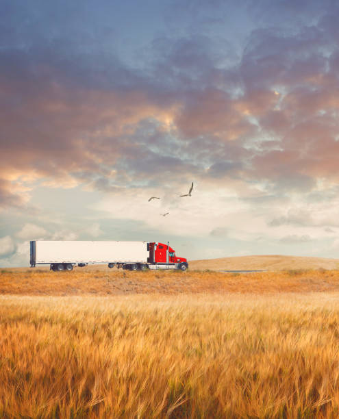 istock Truck going on the road 1156236507