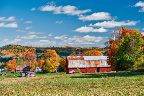 istock Farm and red barn at sunny autumn day 1156239043