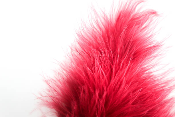istock Beautiful abstract texture color red gray blue and black feathers on white isolated background and pattern wallpaper 1156239093