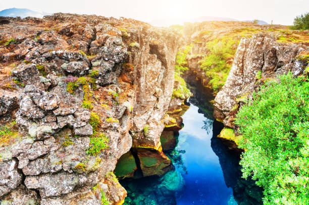 istock Thingvellir National Park, Iceland 1156239223