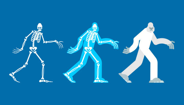 istock Yeti skeleton islated. Bigfoot skull and bones. Abominable snowman. sasquatch Remains 1156239345