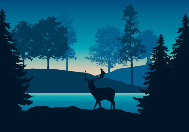 Vector illustration of Realistic illustration of hilly landscape with forest, river or lake and standing deer under blue-green sky with dawn - vector