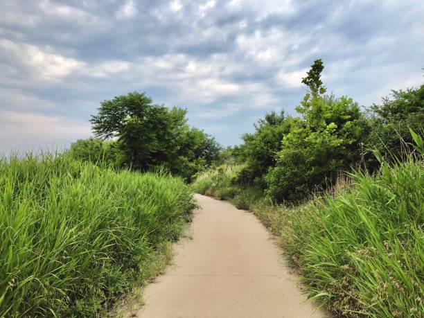 istock Riverside park walkway view on a cloudy day 1156243786