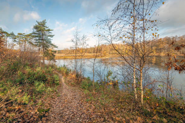 istock Narrow sandy path along the lake 1156243873