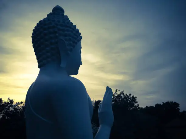 Sunset Shine On Big White Buddha Statue In The Garden Of Buddhist Temple In The Evening, North Bali, Indonesia