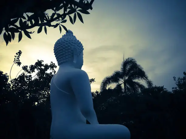 Sweet Garden With White Buddha Meditating Statue In The Evening Sunshine At Buddhist Temple, Brahmavihara Arama Monastery, North Bali, Indonesia