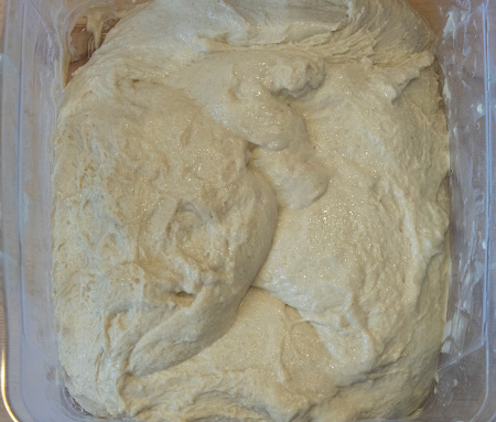 minus yeast dough fermentation