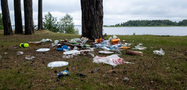 istock Man and trash. Man litters. Garbage in nature. 1156247251