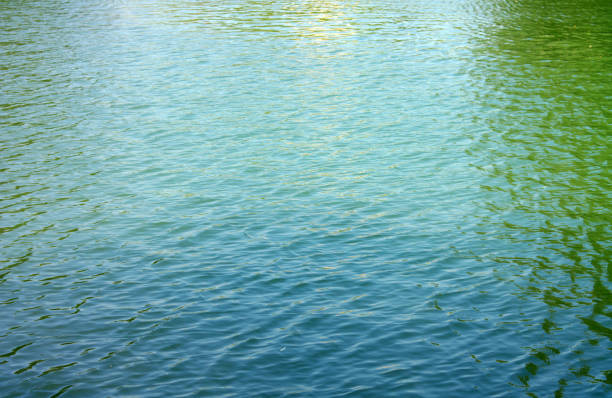ripple on water in city park pond