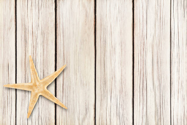 istock Sea star and wooden background 1156251100