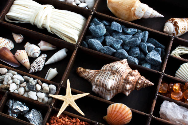 Summertime maritime decoration elements in wooden box background