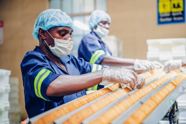istock Food processing plant workers checking the quality of freshly baked biscuits 1156251840