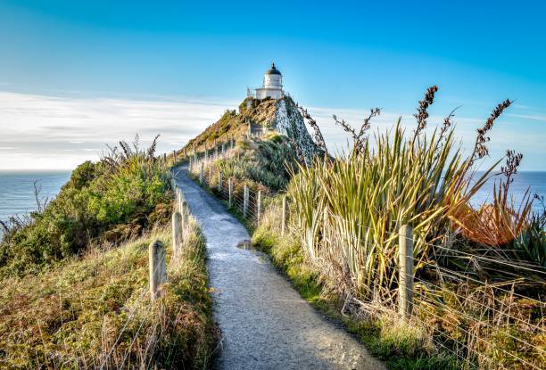 istock Nugget Point Lighthouse, Catlins New Zealand 1156252800