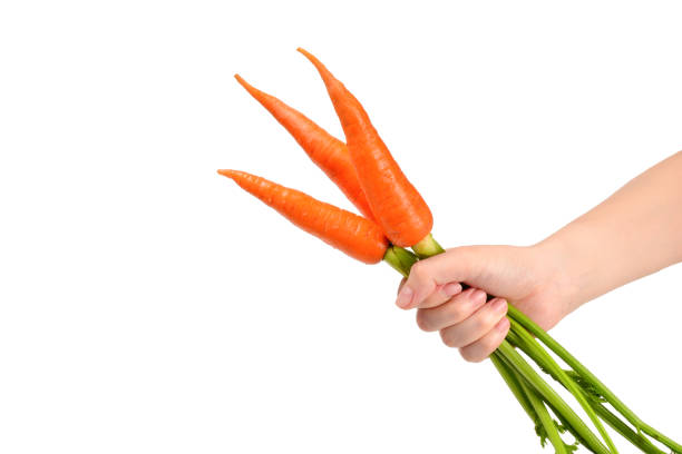 istock Fresh orange carrot in woman hands on a white background. 1156252884