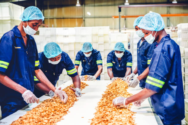 istock Production Line Worker Checking the Freshly Baked Biscuits on the Conveyor Belt 1156253850