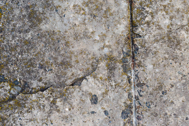 istock Asbestos slate texture concrete covered with lichen and moss, industry material natural cement 1156255091