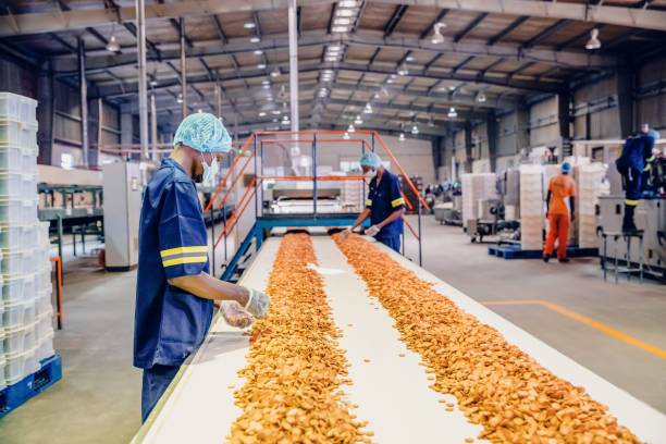 Young woman working in food processing plant checking quality of nuts on trays, ensuring hygiene standards