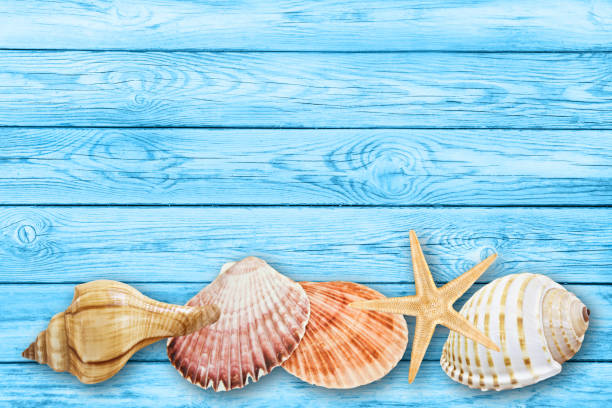 istock Beach decoration against wooden background 1156263190