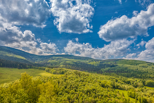 rural landscape with the Karkonosze (Krkonoše, Giant Mountains) mountains