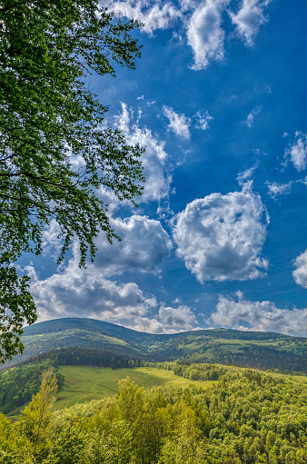 rural landscape with the Karkonosze (Krkonoše, Giant Mountains) mountains