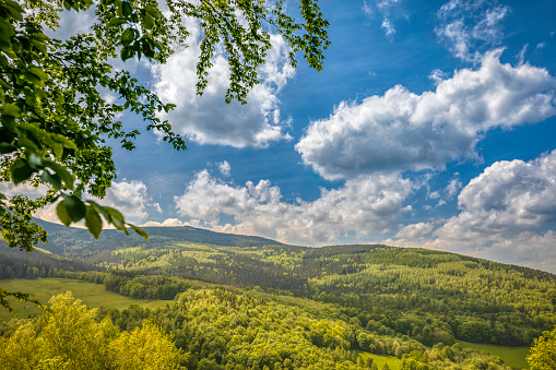 rural landscape with the Karkonosze (Krkonoše, Giant Mountains) mountains