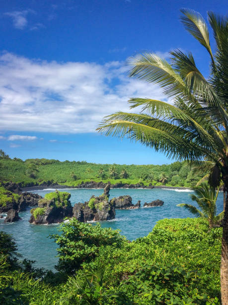 parque estatal waianapanapa y playa de arena negra, maui, hawái, estados unidos - hana fotografías e imágenes de stock