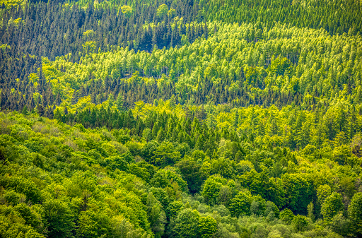 beautiful landscape with the Karkonosze (Krkonoše, Giant Mountains) mountains