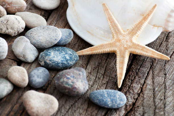 istock Summertime beach decoration and wooden background 1156265338