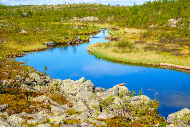 istock Meandering stream in a wild country 1156269203