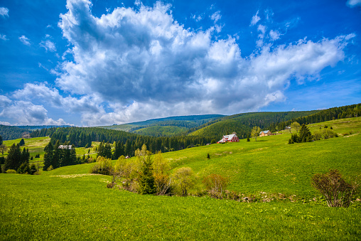 Panoramic views over lush green meadows, fir forests and the rolling hills of the Black Forest. Top hiking destinations in the Black Forest National Park region. View from Dollenberg near Bad Peterstal - Griesbach. Ortenau district, Germany.