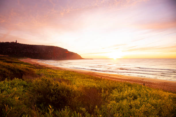 istock Before Sunrise, Sydney Palm Beach 1156270978