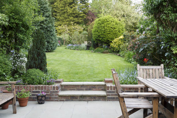istock Garden patio and lawn 1156272890