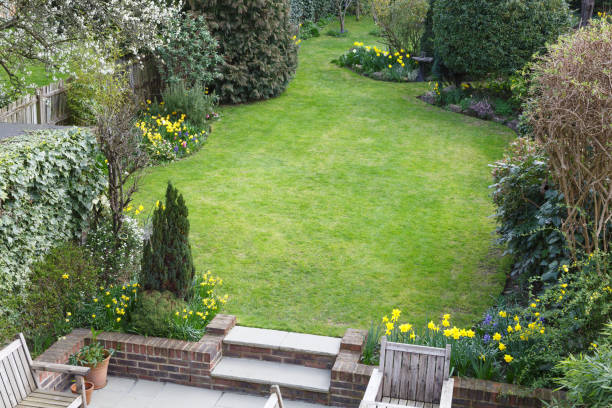 istock Suburban garden in London 1156275376