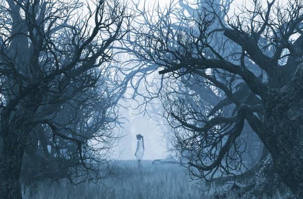 Girl lost in creepy forest stock photo