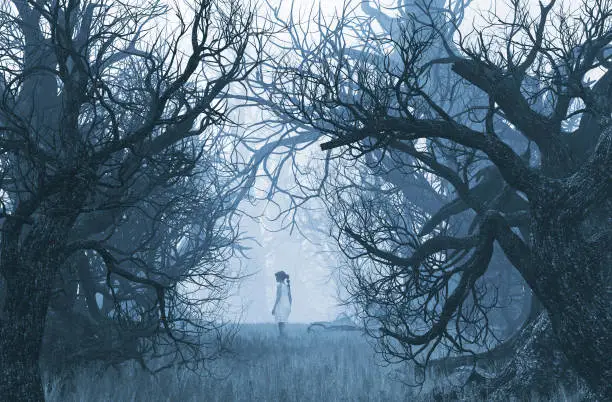 Photo of Girl lost in creepy forest