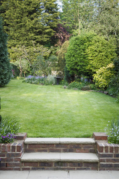 istock Terraced garden with lawn and patio 1156275419
