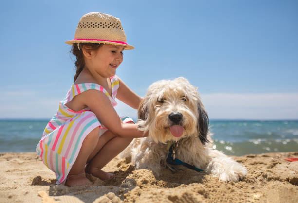 istock Girl playing with her dog on the beach 1156277940