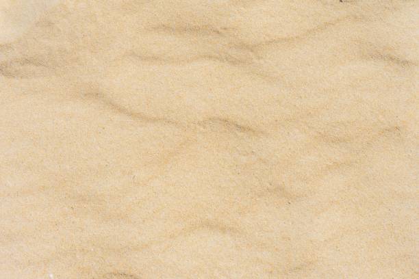 istock Close up Sand Beach Texture In The Summer. 1156280112