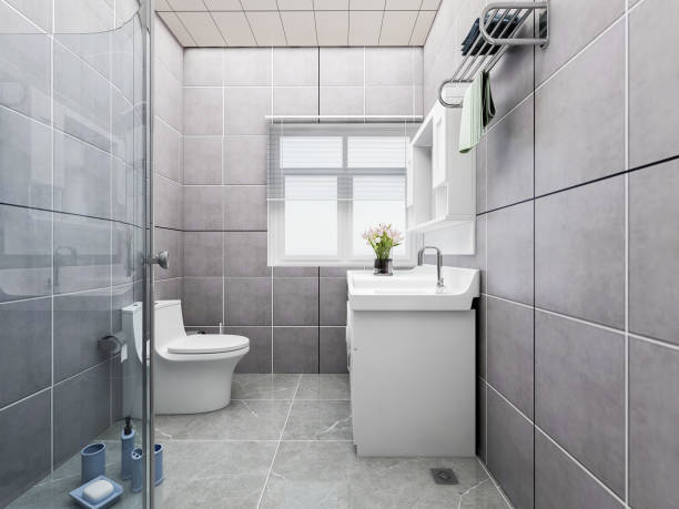 istock 3D rendering, modern style grey toilet and bathroom design 1156287086