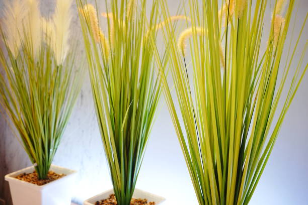 Grass, Plant, Paint, Copy Space, Flower Pot