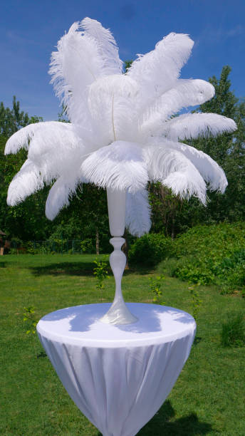 istock White ostrich feather in vase on a white banquet table. 1156287217