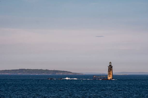 istock Ram Island Ledge Lighthouse - Portland, ME 1156287335