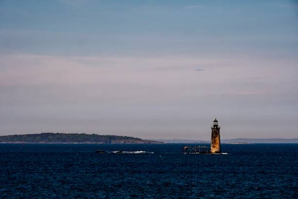 ram island ledge leuchtturm - portland, me - lighthouse maine portland maine scenics stock-fotos und bilder