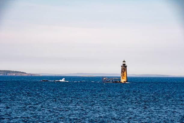 ram island ledge leuchtturm - portland, me - portland maine stock-fotos und bilder