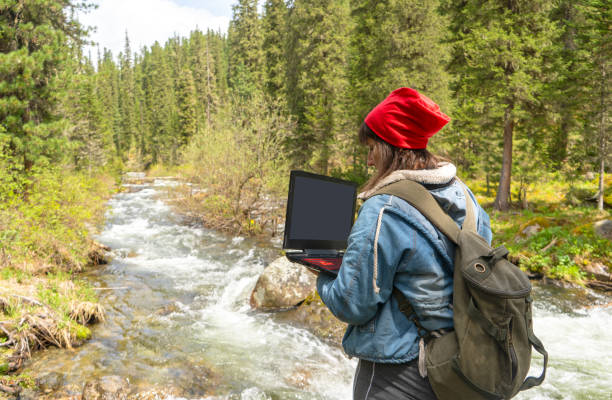 istock Woman using laptop in the north forest in summertime 1156290317